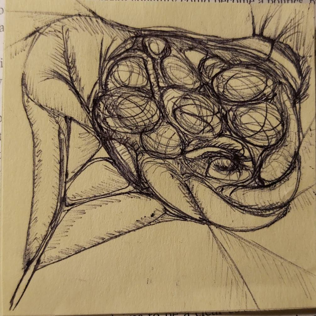 An ink drawing vaguely inspired by a pomegranate, drawn on a yellow sticky note