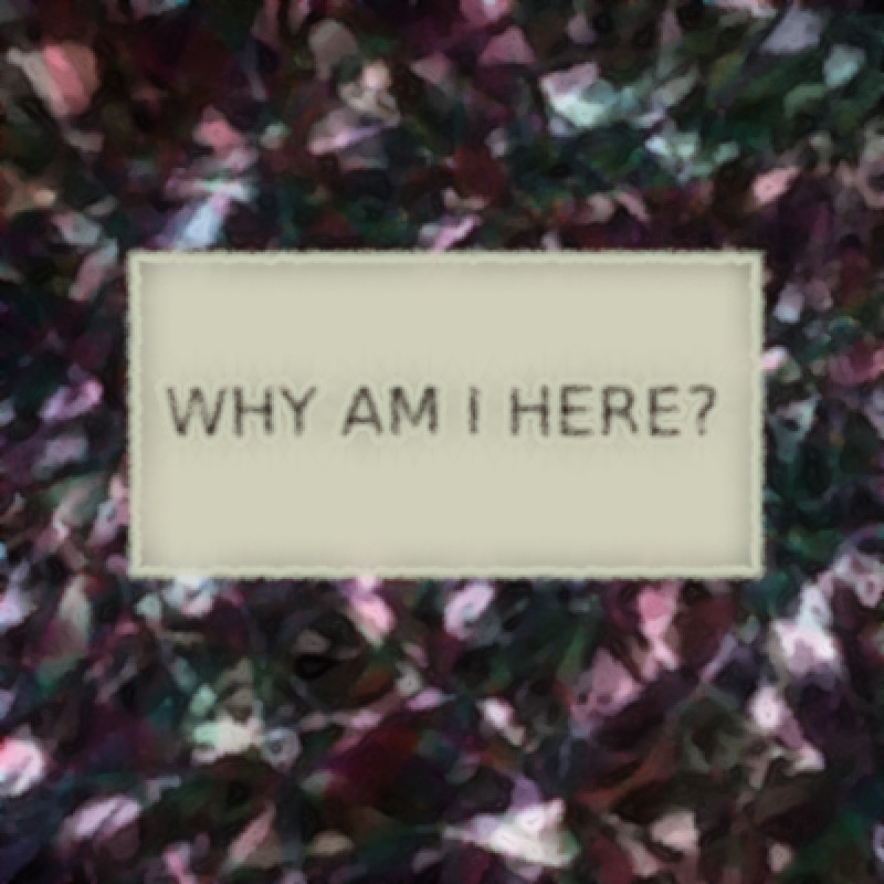 The phrase "Why am I here?" on a stylized background.